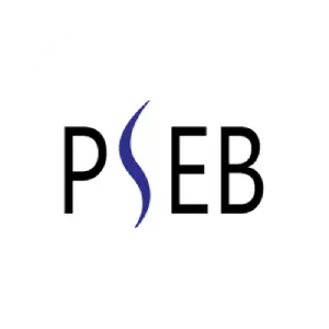 Pakistan Software Export Board (PSEB) logo
